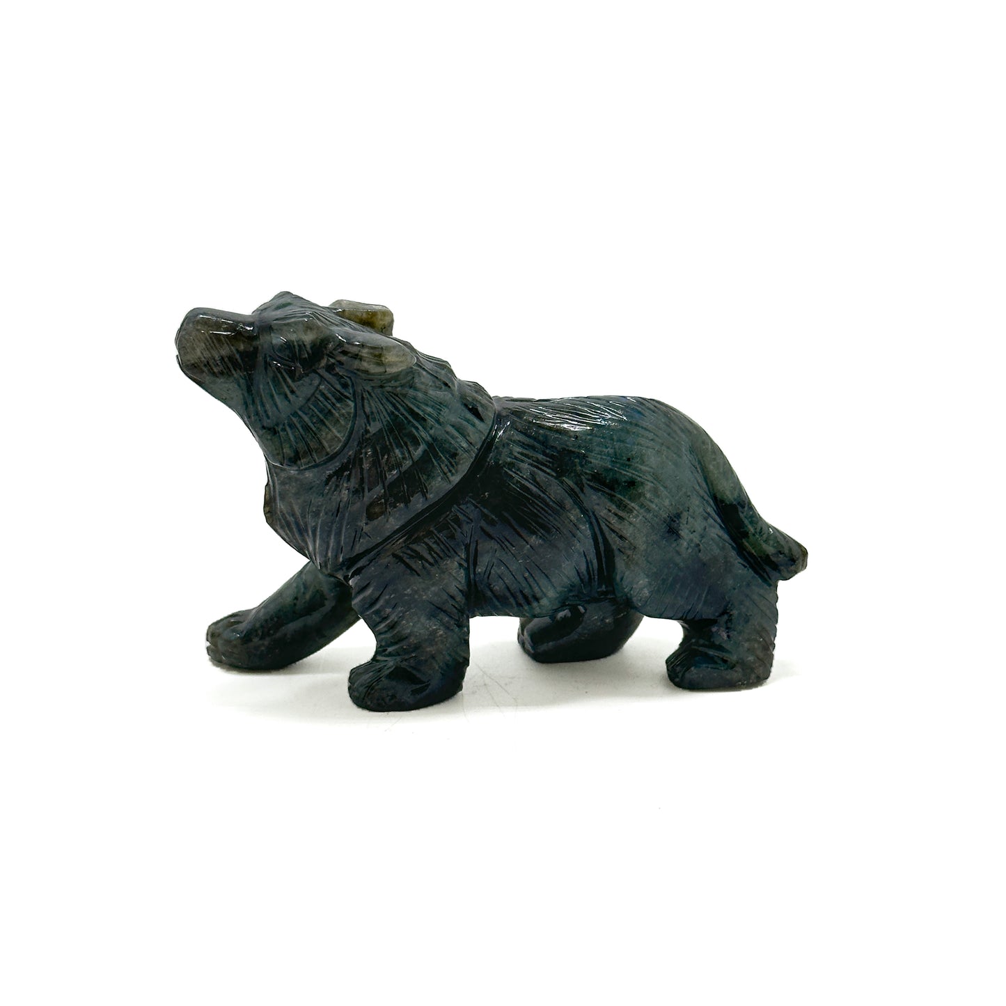 Tiger image 0