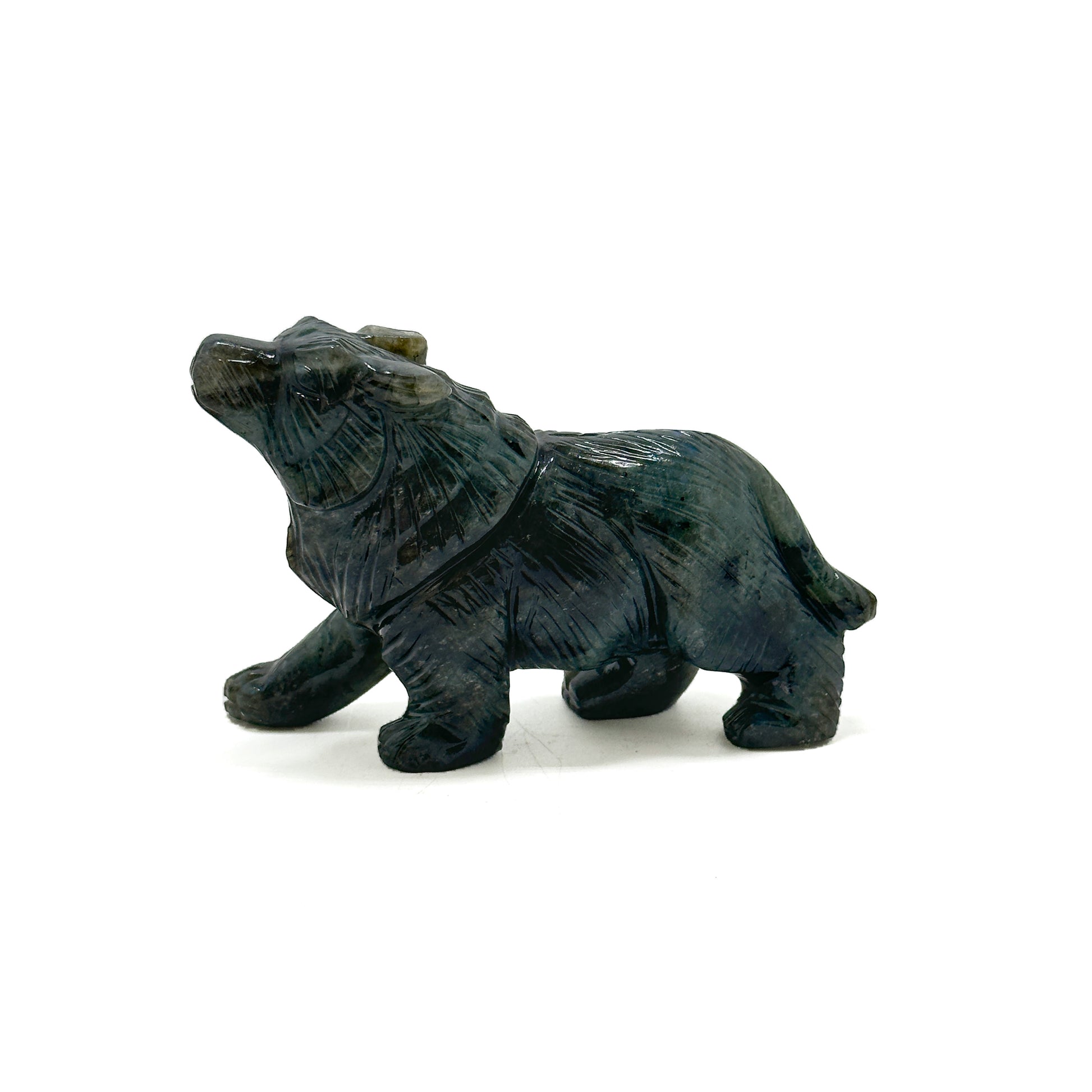 Tiger image 0