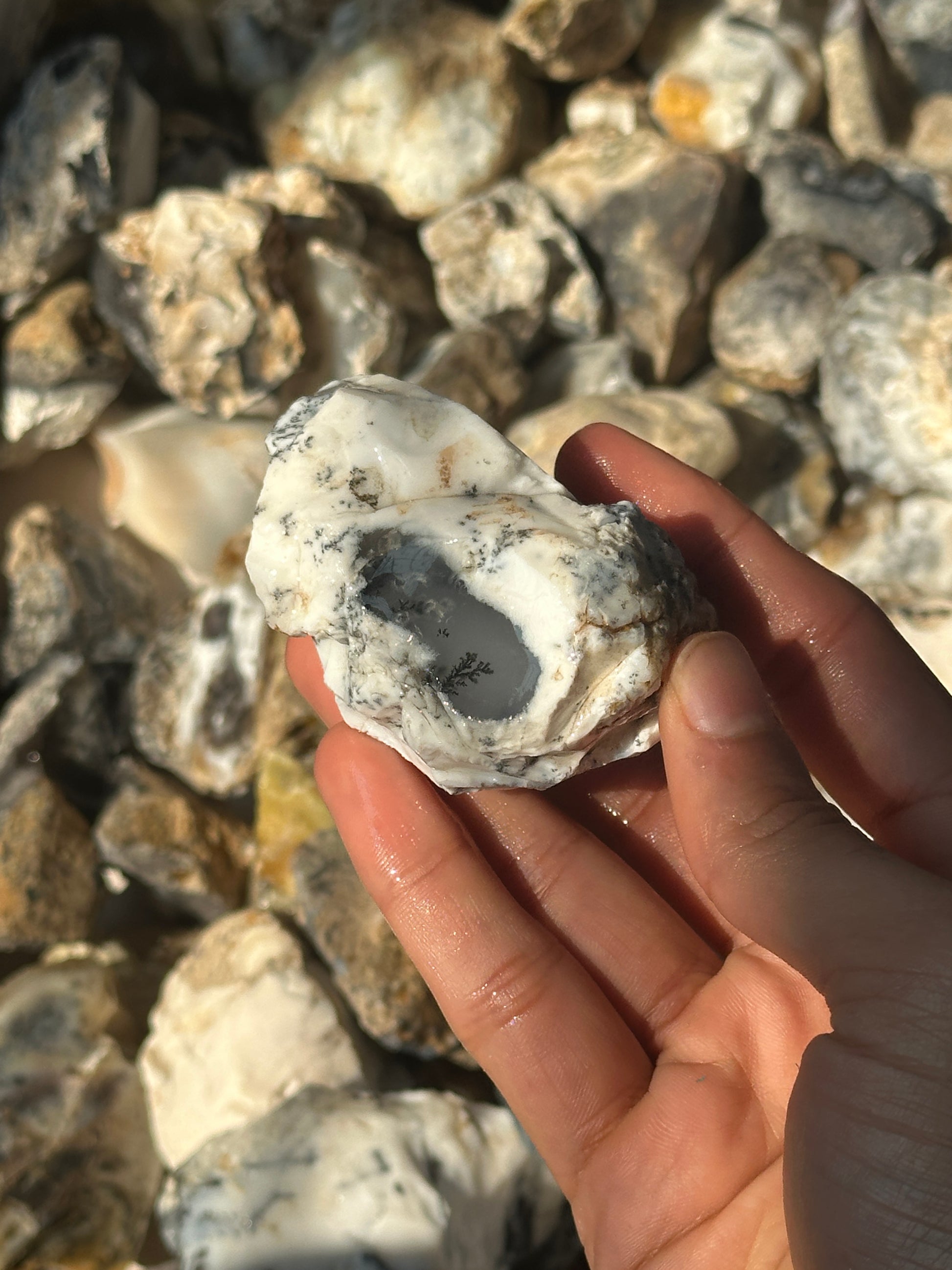 Dendritic Agate Rough (1kg) image 5