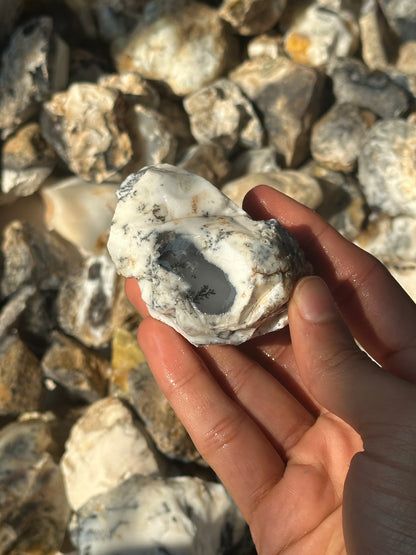 Dendritic Agate Rough (1kg) image 5