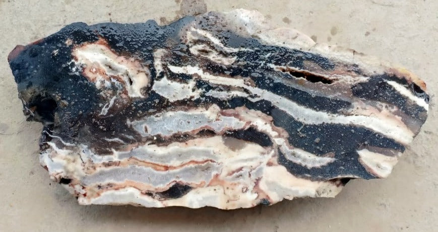 Black Zebra Agate Rough image 2