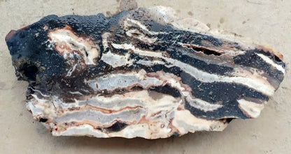 Black Zebra Agate Rough image 2