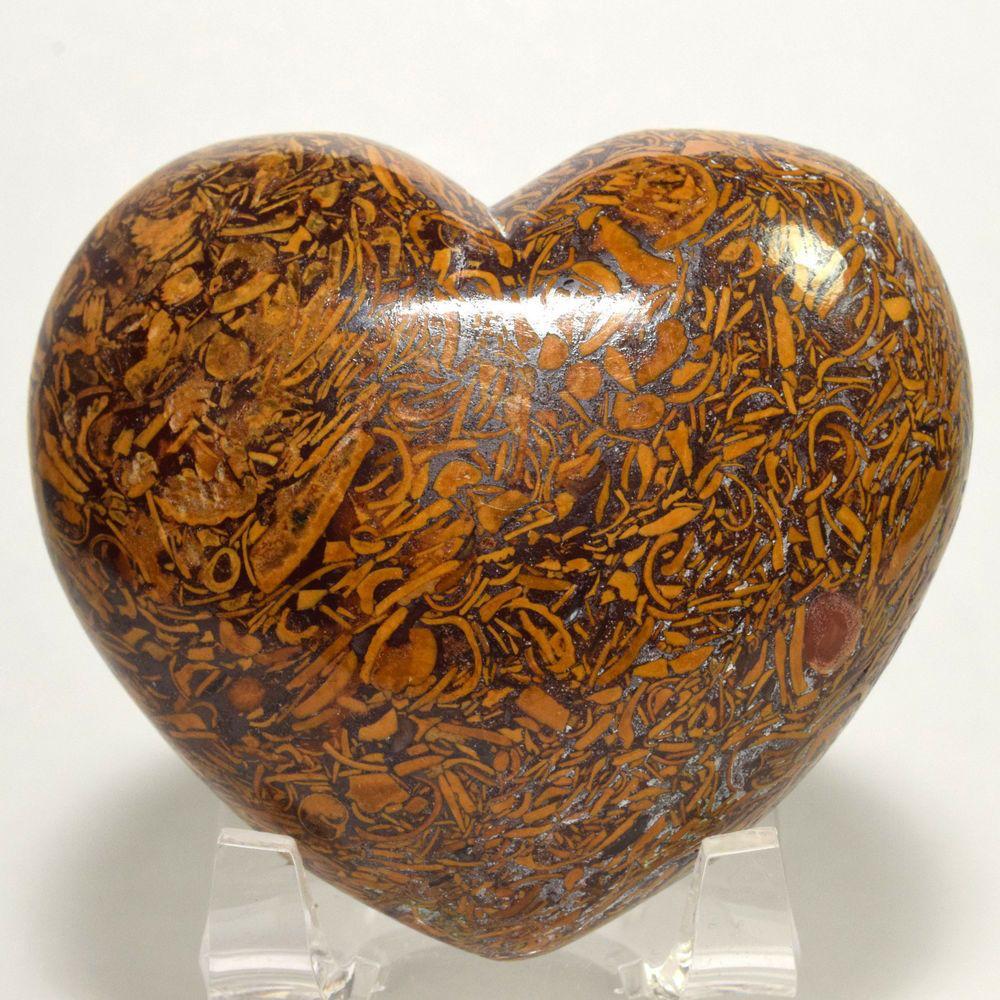 Camel/Fossil Jasper Heart (Big Sized 50-55 mm) image 0