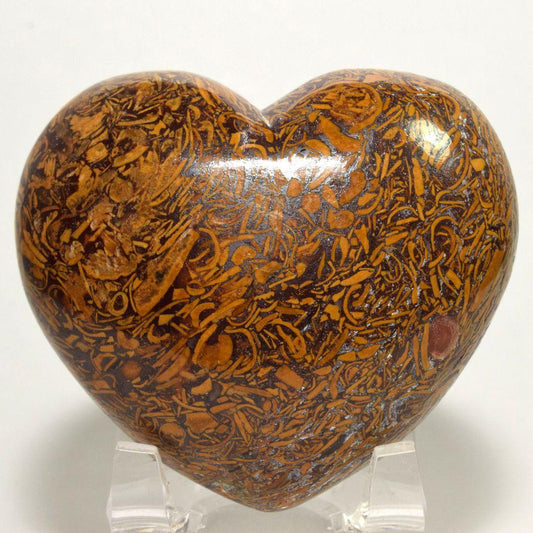 Camel/Fossil Jasper Heart (Big Sized 50-55 mm) image 0