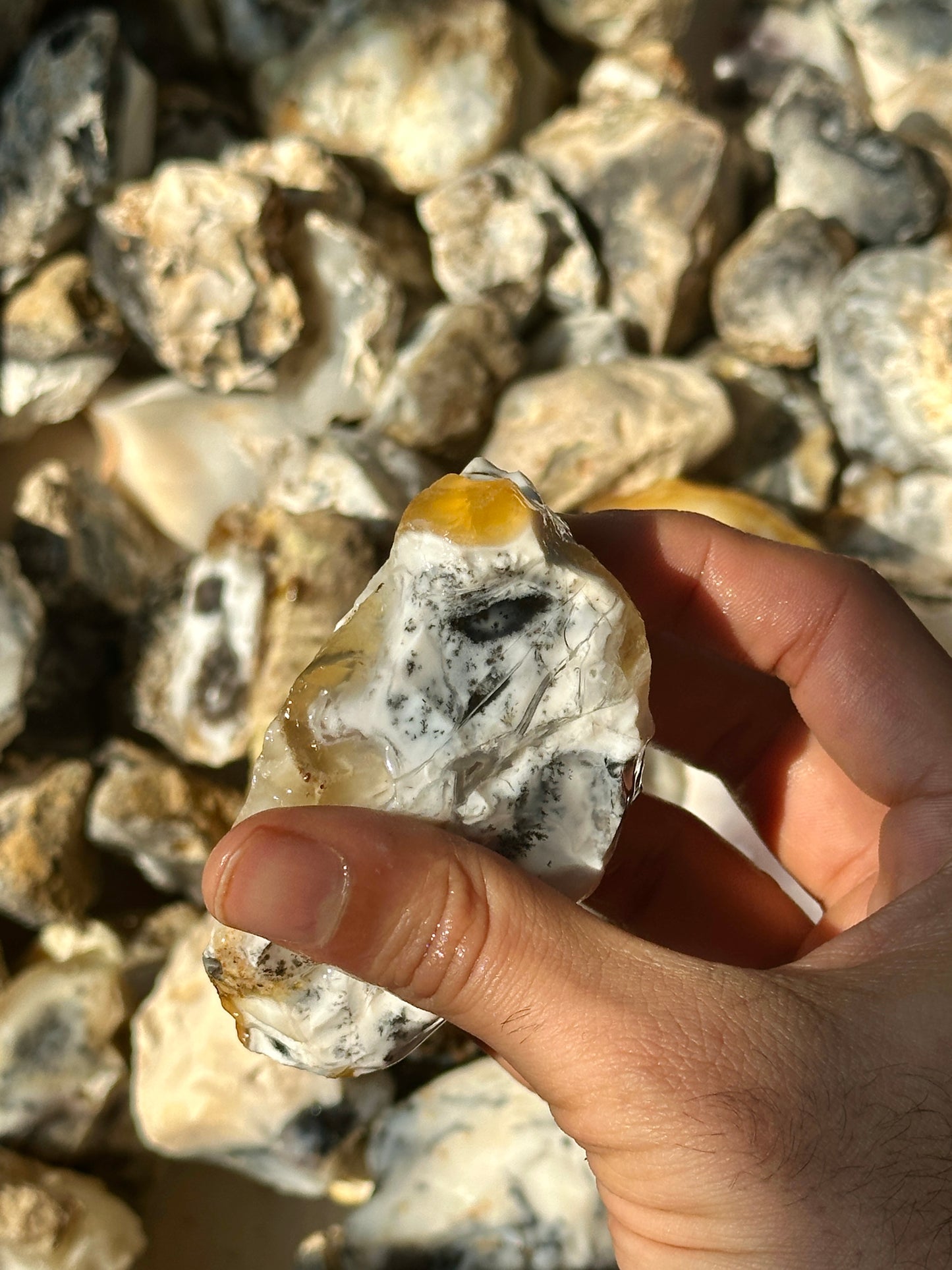 Dendritic Agate Rough (1kg) image 4