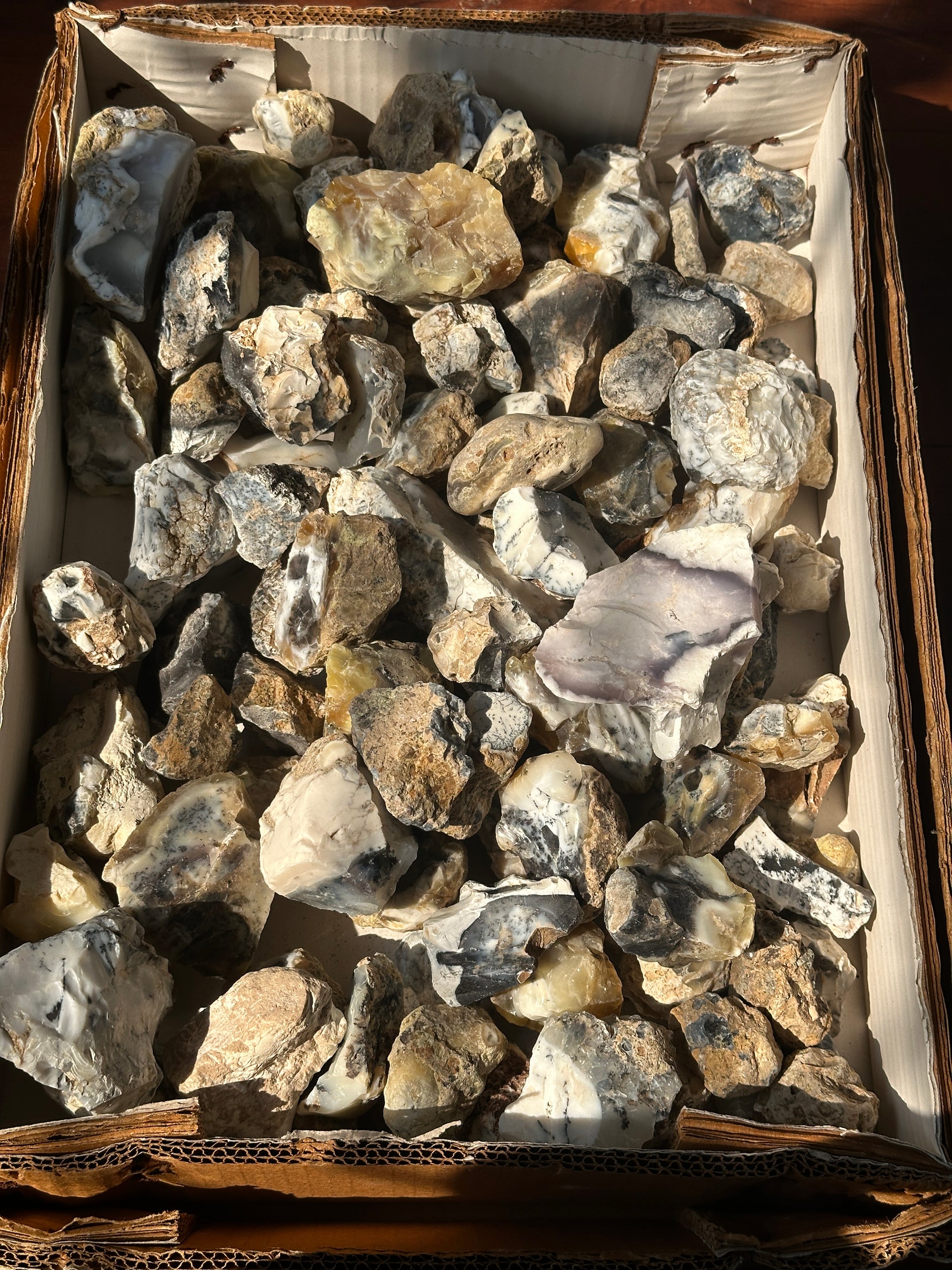 Dendritic Agate Rough (1kg) image 9
