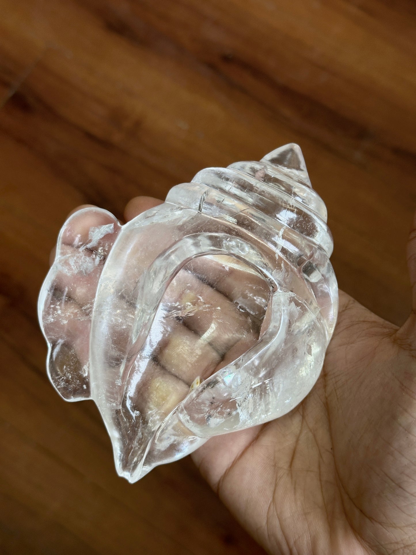 Himalayan Quartz Conch Shell (Shank) image 0