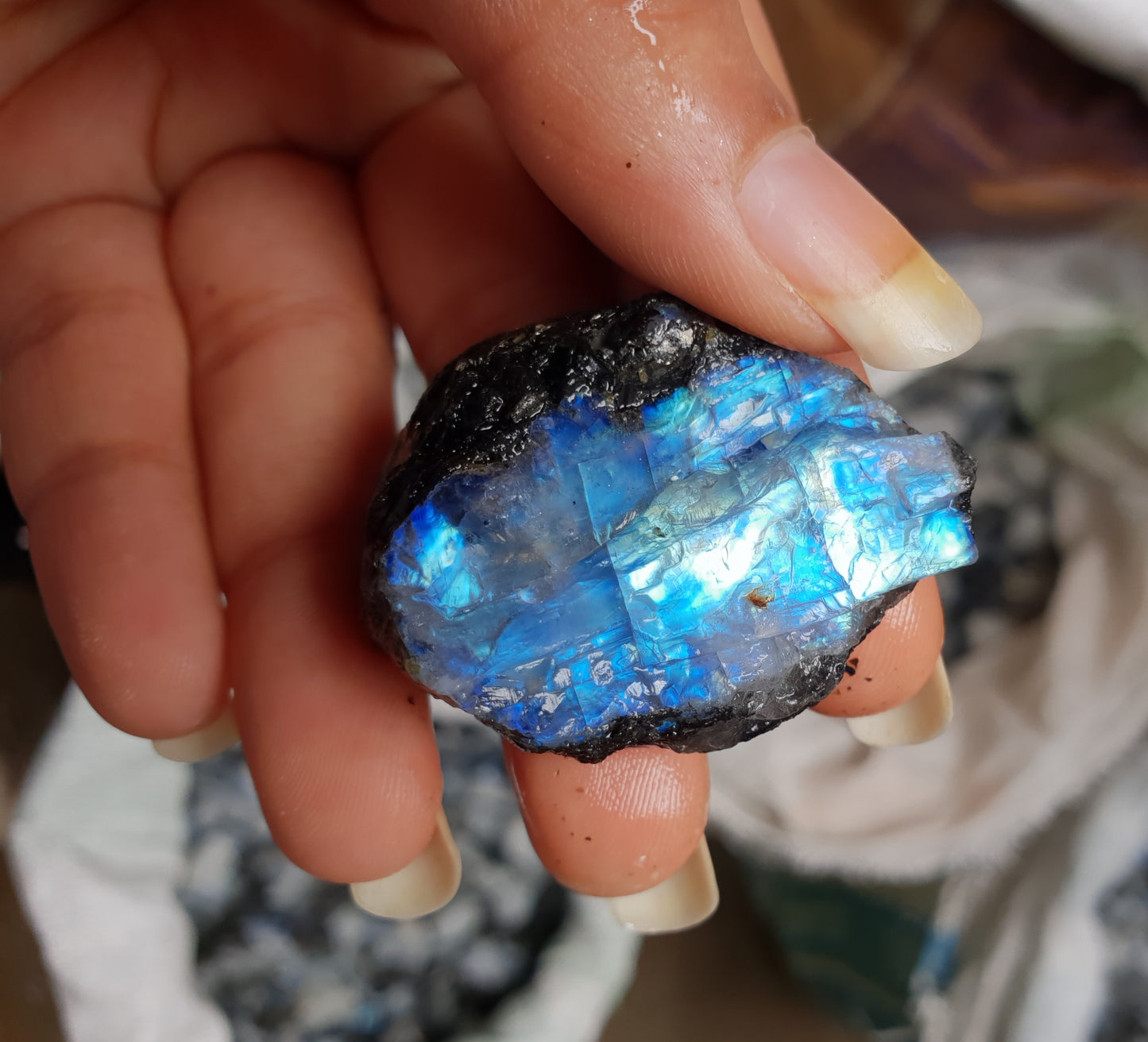 Rainbow Moonstone- Gem Quality image 0