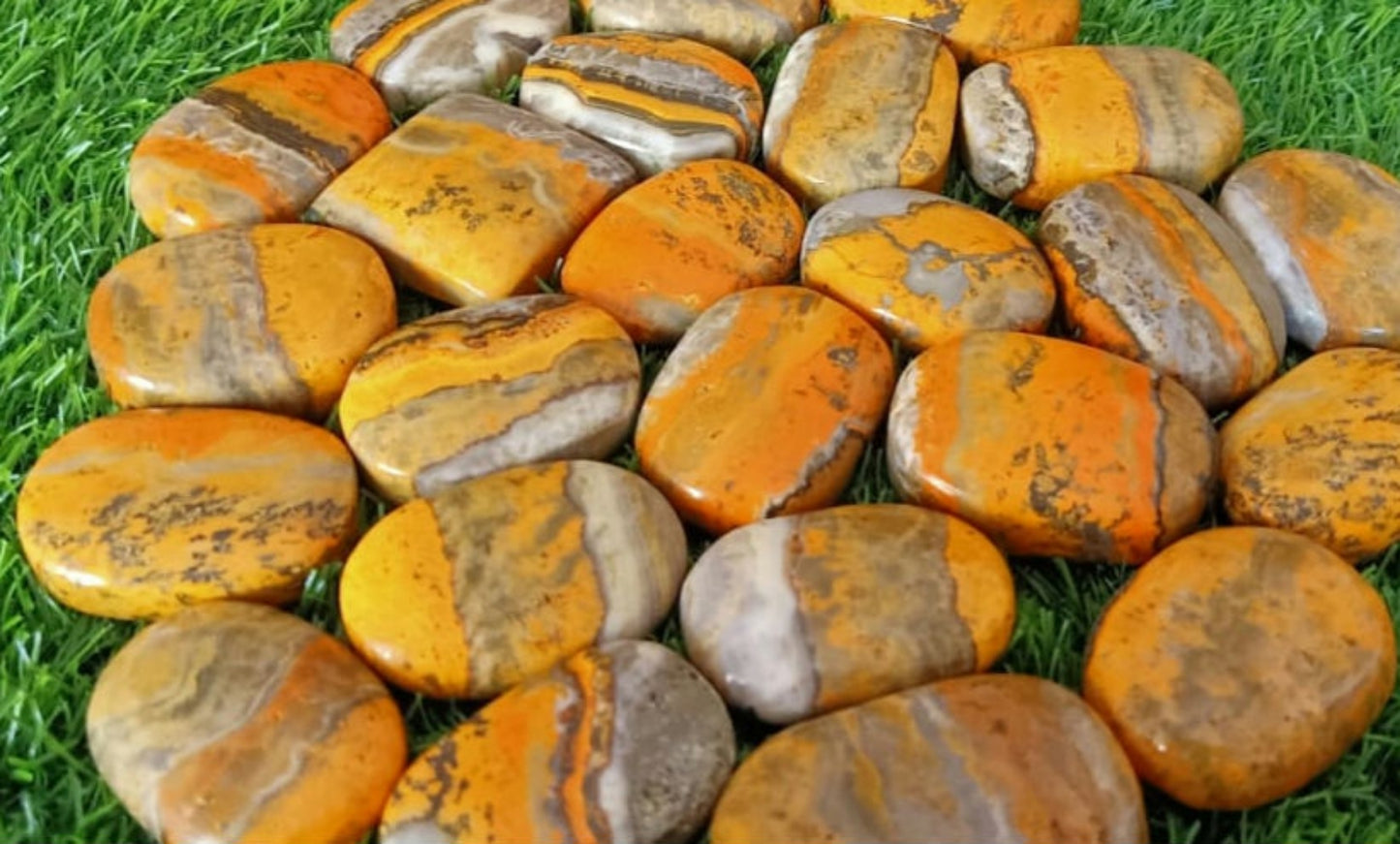 Bumble Bee Jasper Palm Stones image 0