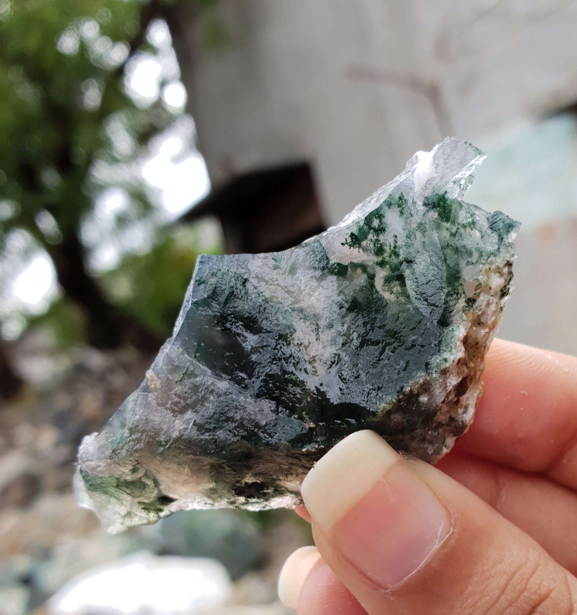 Moss Agate Rough image 0
