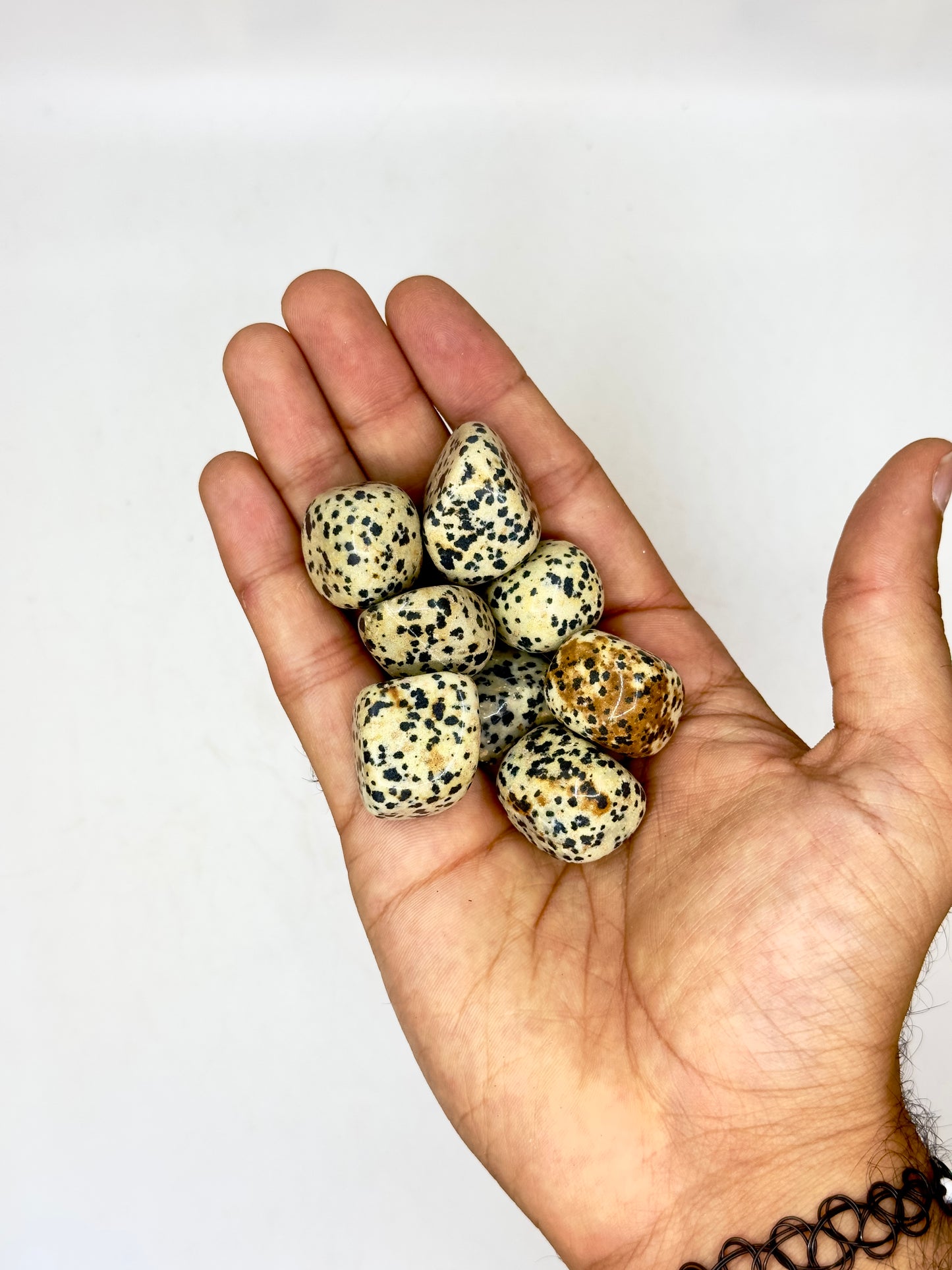 Dalmation Jasper Tumble image 0