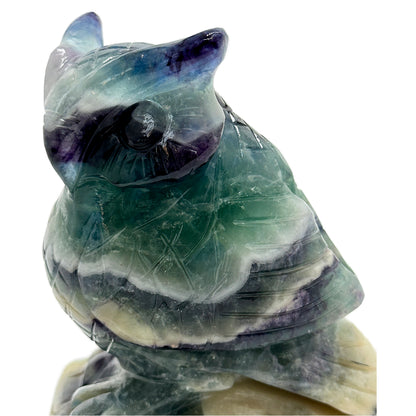 Fluorite Owl image 1