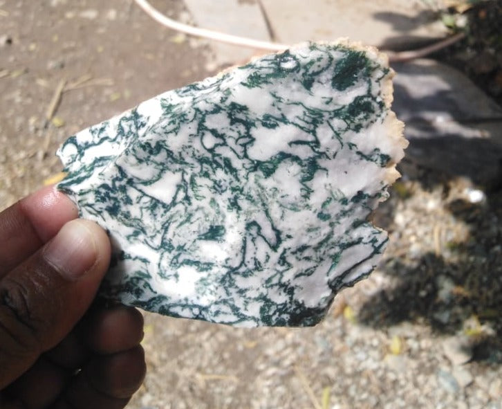 Tree Agate Rough image 0
