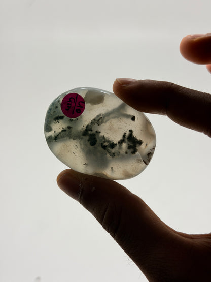 Moss Agate Palmstone