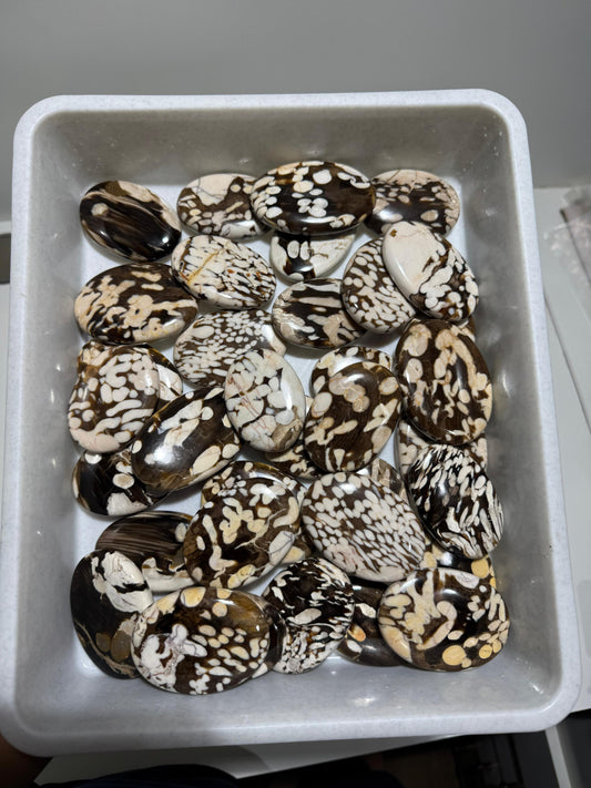 Peanut Wood (Kennedy Ranges, Western Australia) - 17.3 KG lot