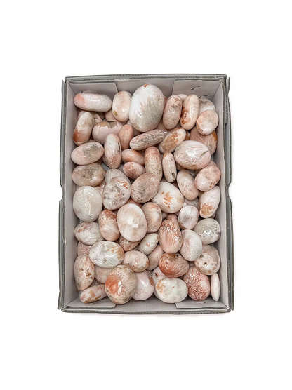 Pink Scolecite Palm Stones (1KG)