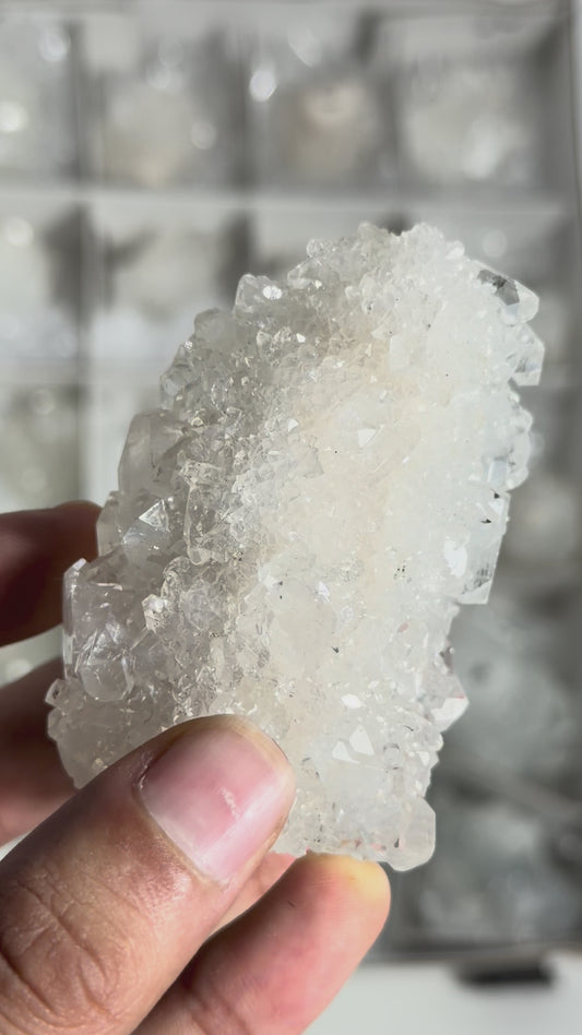 Mirror Apophyllite Lot - #