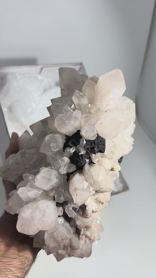 Fluorite — #256
