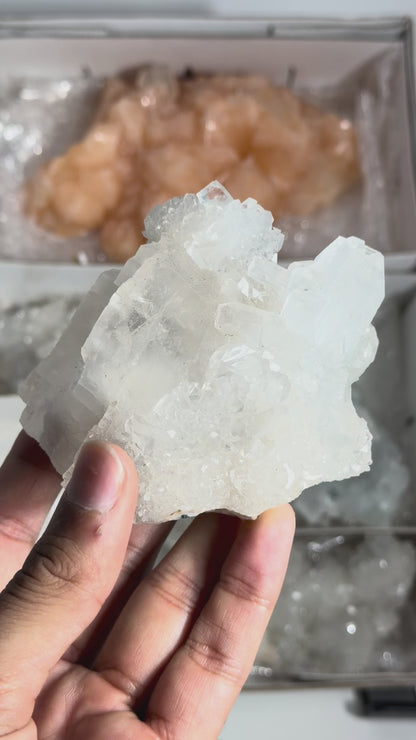 Mineral — #264