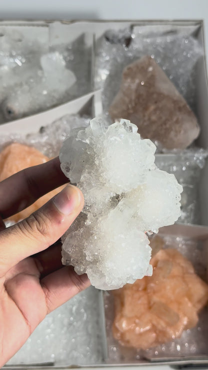 Mineral — #264