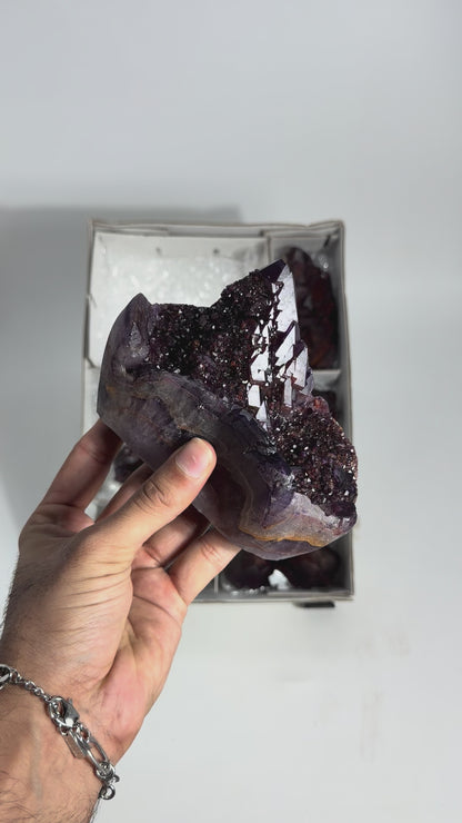 Alien Amethyst - #226