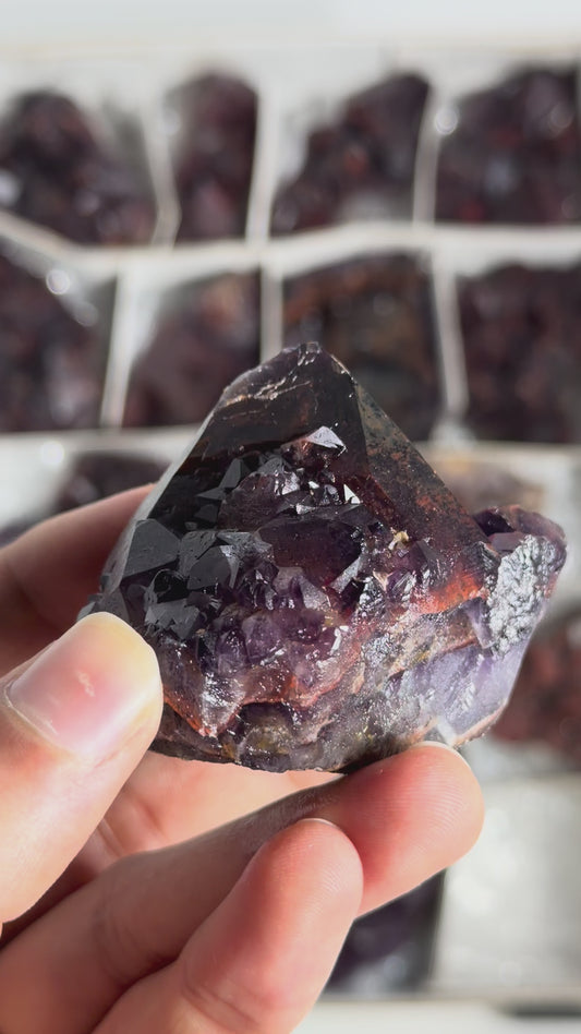 Alien Amethyst - #225