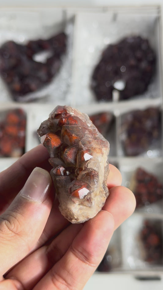 Alien Amethyst - #222