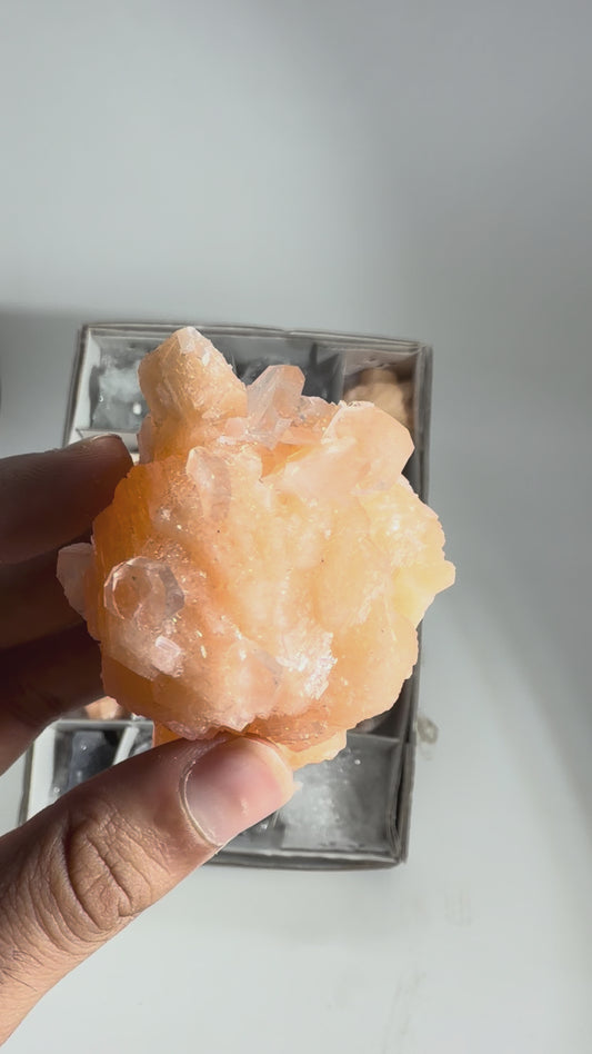 Mix Zeolite Lot - #235