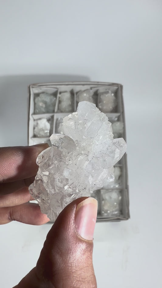 Glassy Mirror Apophyllite Lot - #236