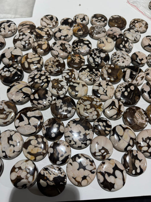 Peanut Wood (Kennedy Ranges, Western Australia) - 17.3 KG lot